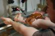 Ocean Care Solutions Set to Release New Jellyfish Sting Relief...